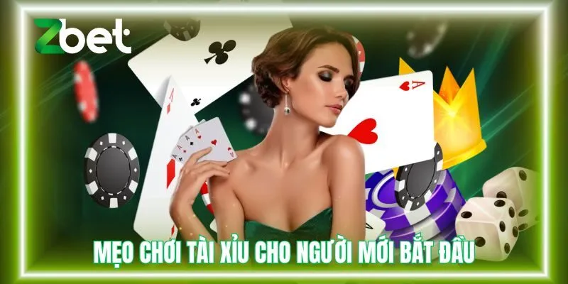 Mẹo chơi tài xỉu luôn thắng cho người mới bắt đầu